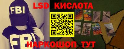 шишки Сланцы