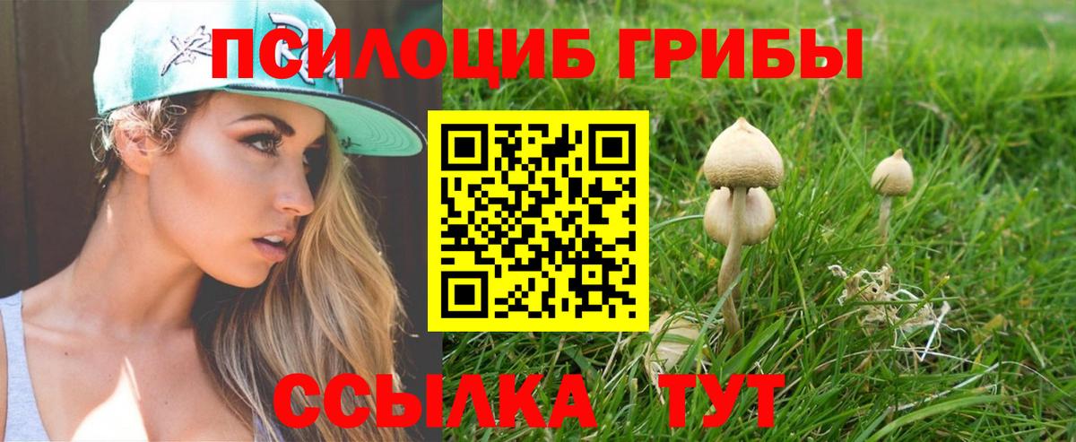Псилоцибиновые грибы GOLDEN TEACHER  Вход с VPN  Псилоцибиновые грибы Magic Shrooms  Шадринск 