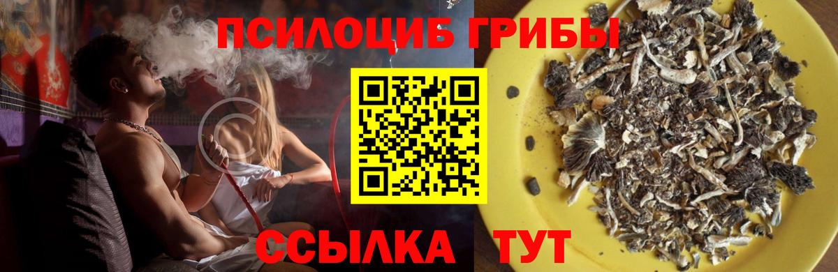 Галлюциногенные грибы мухоморы Шадринск